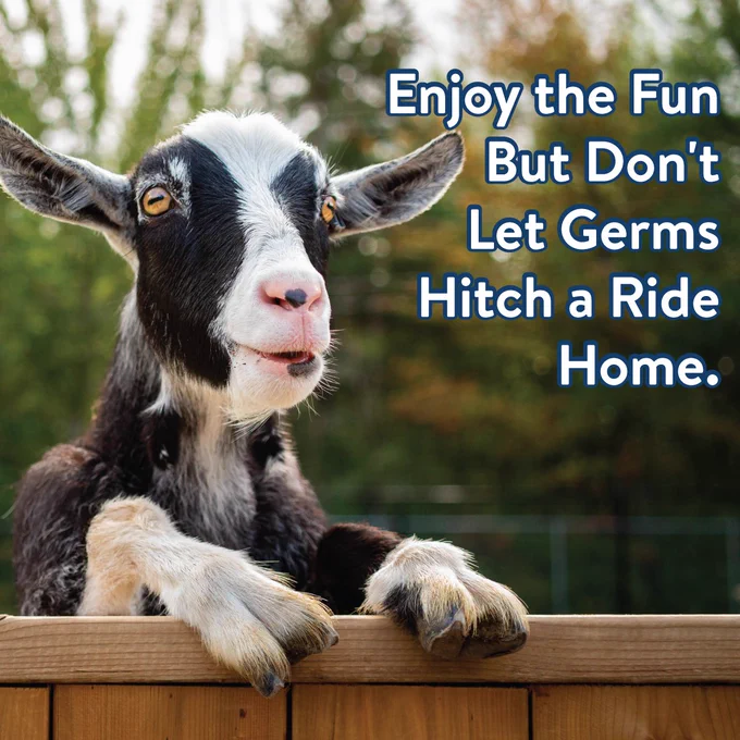 A goat. Text reads, "Enjoy the Fun But Don't Let Germs Hitch a Ride Home."