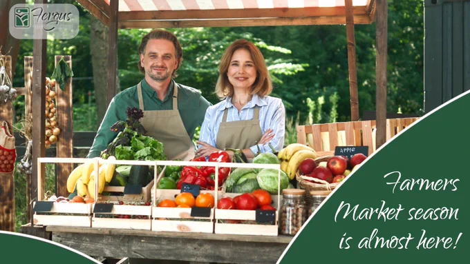 Get your reusable bags ready—the Lewistown Farmers Market is almost here!  🍓✨

Starting June 13, grab the freshest Montana-grown treats every Saturday from 8 a.m. to 12 p.m. at the Sims Park.

It’s the best way to support our incredible local businesses! 💚