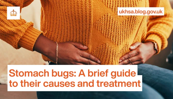 An image of a lady grabbing her stomach in pain, the text overlaid reads: 'Stomach bugs: A brief guide to their causes and treatment'