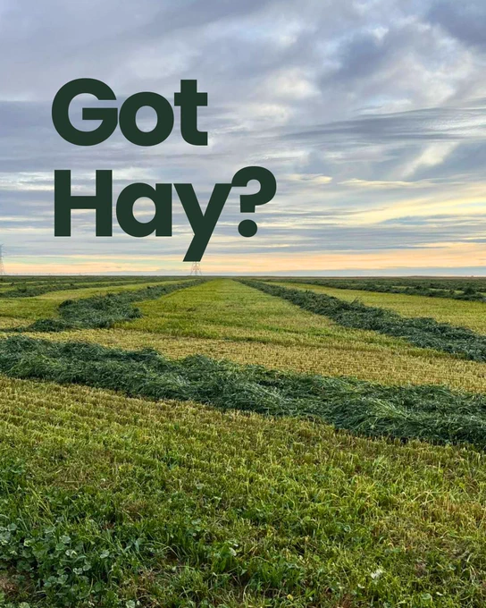 A forage, hay field that was freshly cut and it says Got hay? 