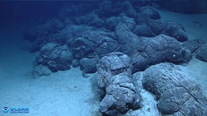 Pillow lava seen during an engineering dive during the EX2603 ROV shakedown.

Alt text: Mounds of dark, cracked deep-sea pillow lava formations rest on a light sandy ocean floor.
