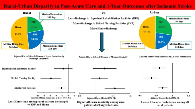 Graphic abstract in Man et al.