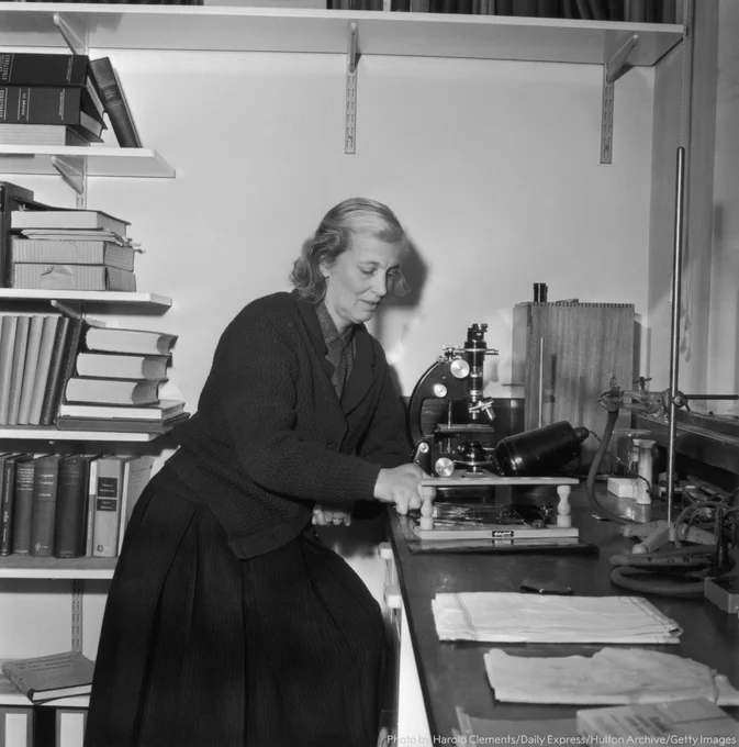 British chemist Dorothy Hodgkin at work, 4th December 1964. She is working in a laboratory setting with a microscope and other scientific equipment, surrounded by books and papers.