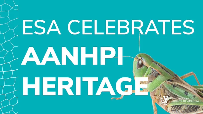 White text "ESA Celebrates AANHPI Heritage Month" over a teal background, with a partial image of a grasshopper in the bottom right.