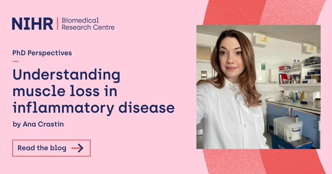 A brown haired woman wearing a lab coat standing inside a scientific laboratory. Text on graphic: PhD Perspectives. Understanding muscle loss in inflammatory disease. By Ana Crastin. Read the blog