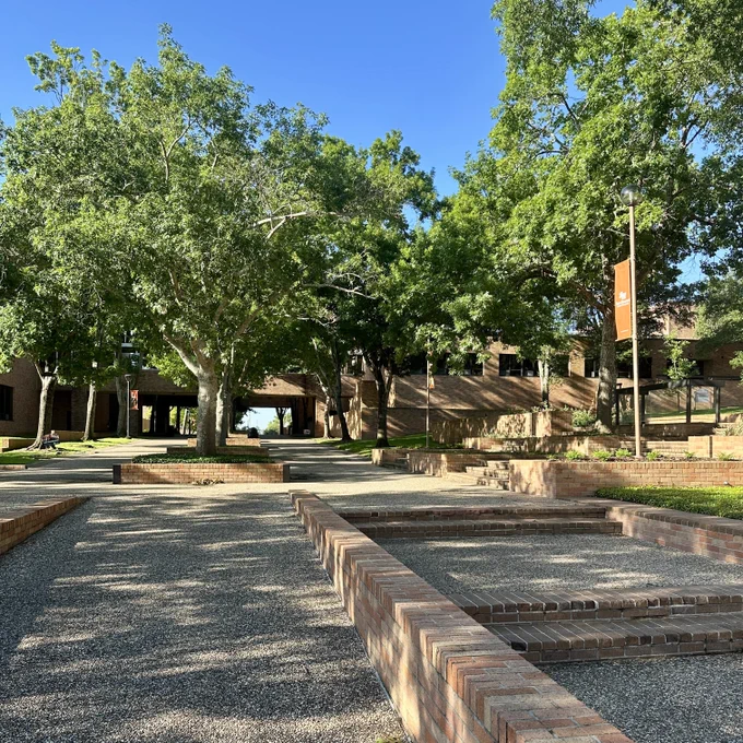 A sunlit outdoor area featuring a large, leafy tree and brick structures at Sam Houston State University.