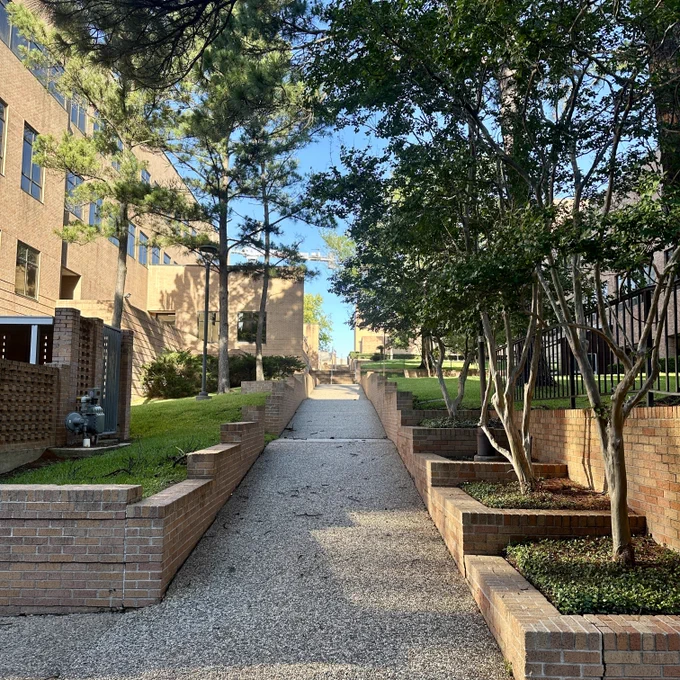 A sunlit outdoor area featuring a large, leafy tree and brick structures at Sam Houston State University.
