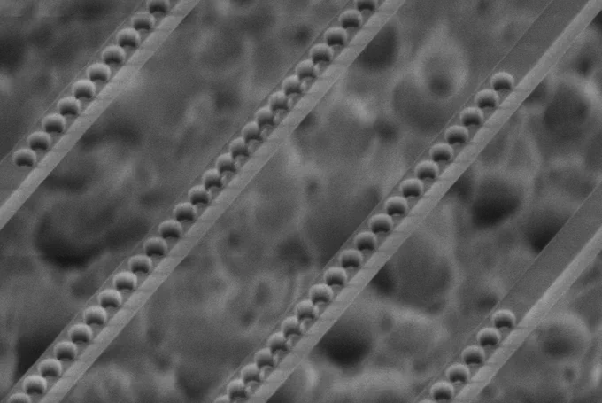 scanning electron microscope image of photonic cavities