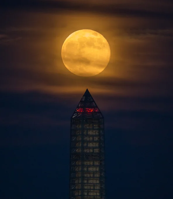 A large, golden Moon, partially shrouded by light clouds, hangs above the peak of the Washington Monument, which is covered in scaffolding. Credit: NASA/Bill Ingalls