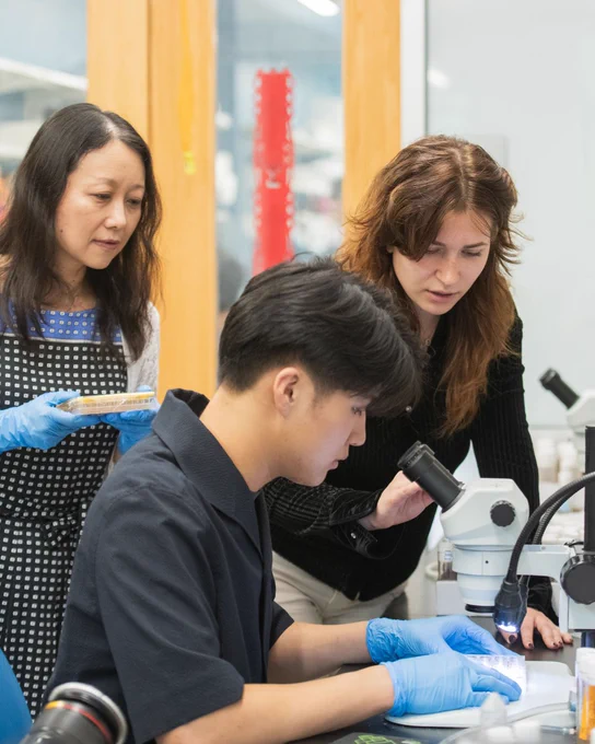 Summer undergraduate researchers in the lab of Dr. Xin Chen, HHMI Investigator.