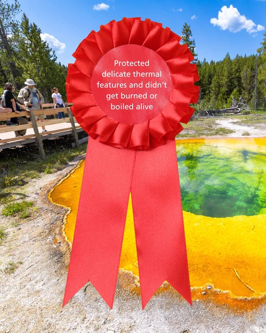A large red participation ribbon over a photo of people walking on a wooden boardwalk near a colorful hot spring. Text on the ribbon reads: "Protected delicate thermal features and didn't get burned or boiled alive."