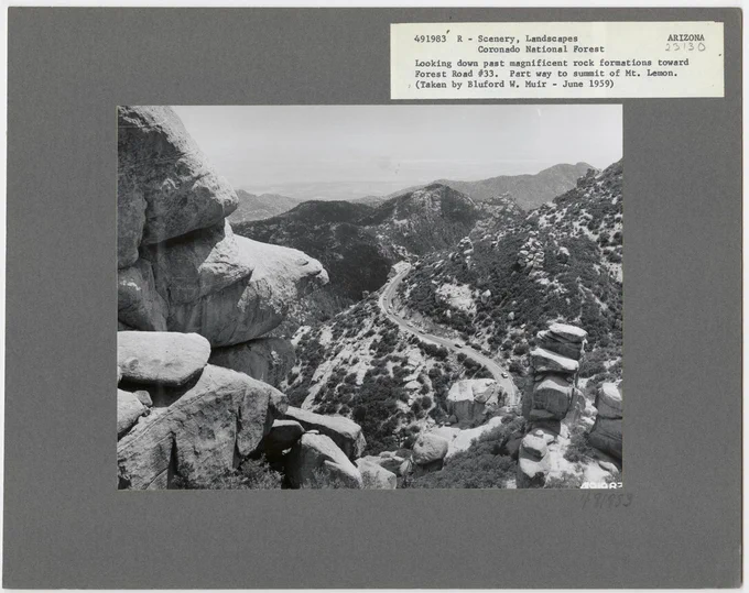 black and white photo of carson national forest.
