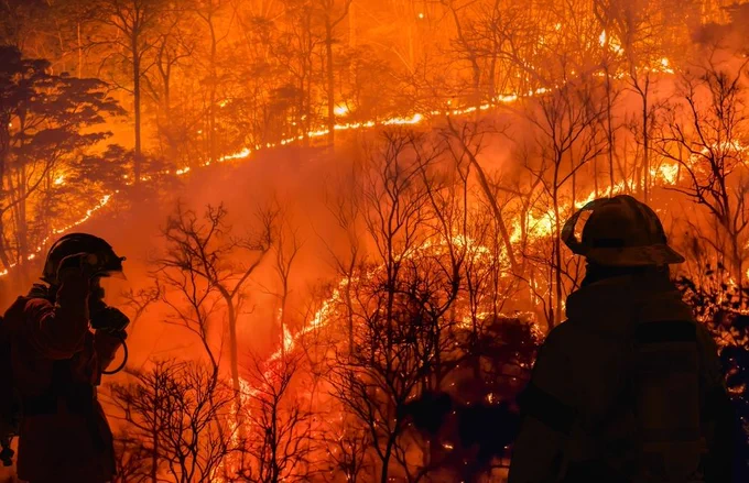firefighters