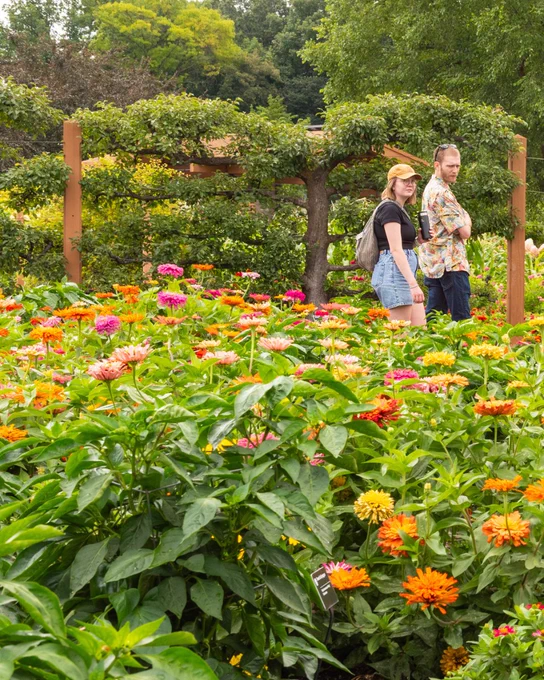 Couple walking in garden
