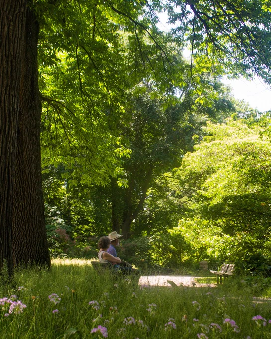 Couple sitting on bench outdoors
