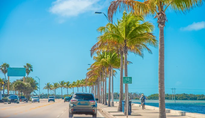 A picture of a highway lined with palms and the ocean to the right at Key West.