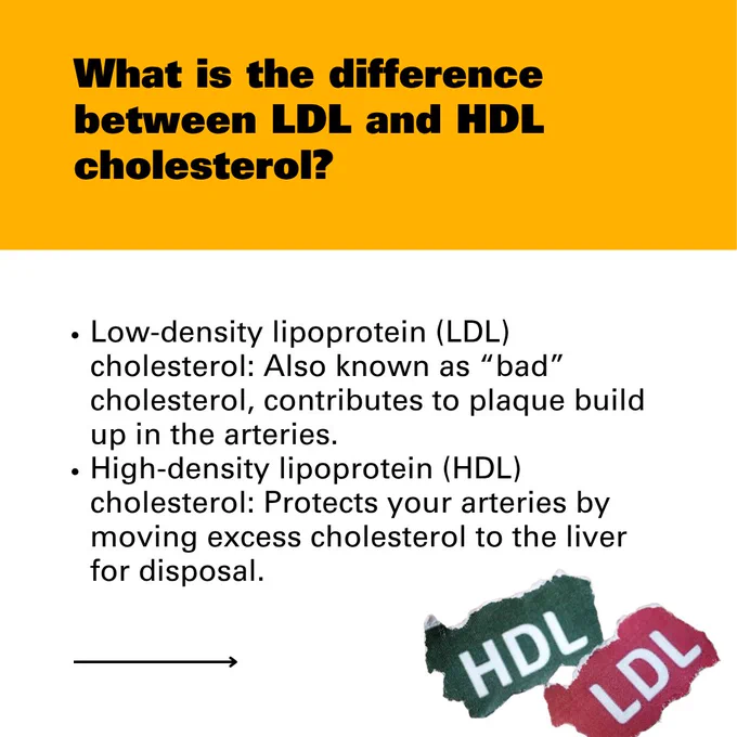 Graphic featuring torn paper pieces labeled "HDL" in green and "LDL" in reds with the question 'What is the difference between LDL and HDL cholesterol?' followed by the answer 'Low-density lipoprotein (LDL) cholesterol: Also known as “bad” cholesterol, contributes to plaque build up in the arteries. High-density lipoprotein (HDL) cholesterol: Protects your arteries by moving excess cholesterol to the liver for disposal.'