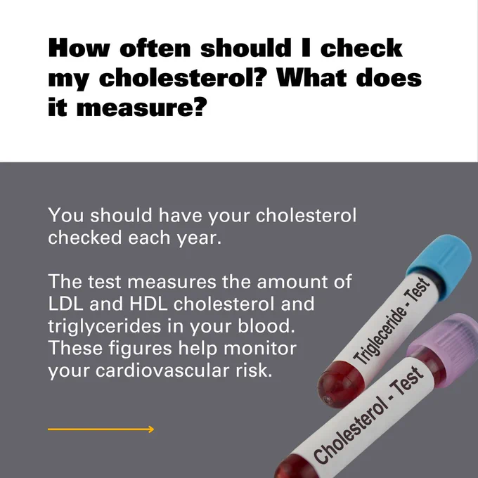 Graphic featuring test tubes labeled "Triglyceride: Test" and "Cholesterol: Test" with the questions 'How often should I check my cholesterol? What does it measure?' followed by the answer 'You should have your cholesterol checked each year. The test measures the amount of LDL and HDL cholesterol and triglycerides in your blood. These figures help monitor your cardiovascular risk.'