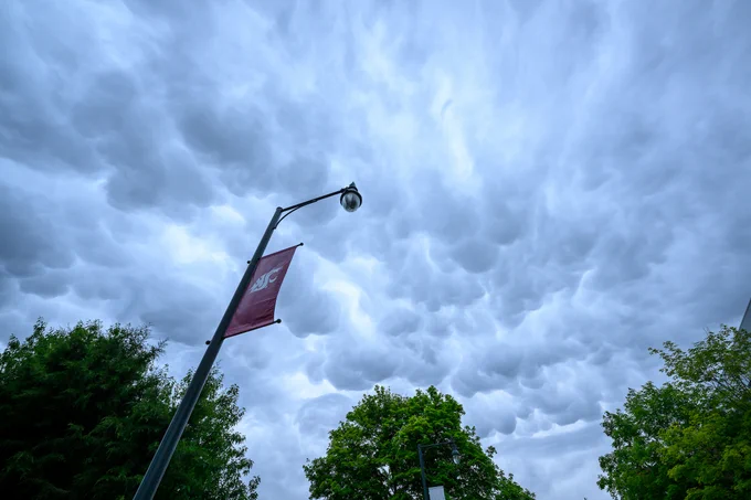 A crimson banner sits on a light pole with gray clouds above. Several green trees are seen in the bottom of the photo.
