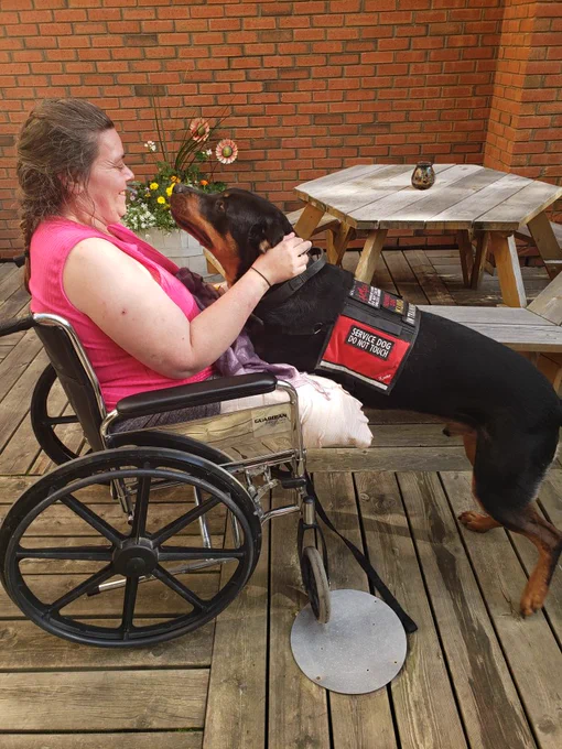 A young Kuno the Servicerottie standing on his hind legs giving a big to his human, a woman in a wheelchair. 