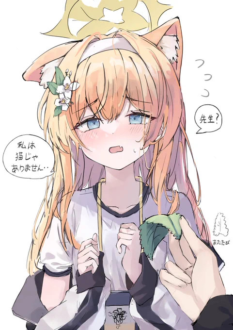 24/04/20