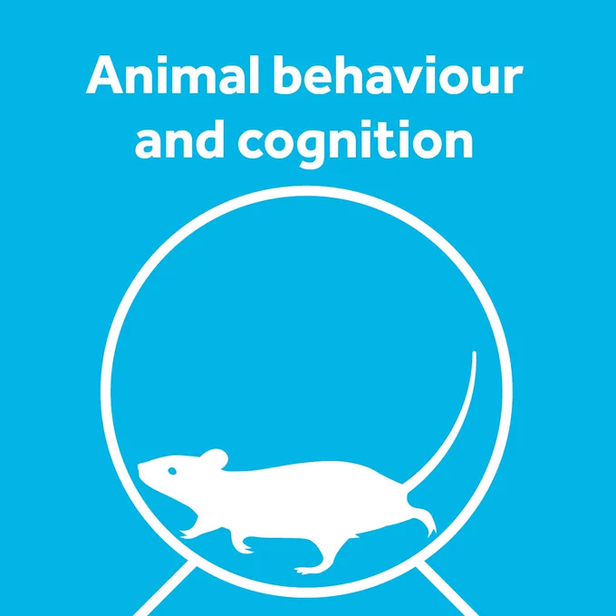 An illustration of a mouse running in a wheel with the title 'Animal behaviour and cognition'.