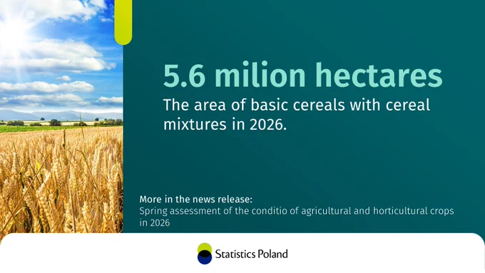Cereal, next to the text: 5.6 milion hectares The area of basic cereals with cereal mixtures in 2026. More in the news release: Spring assessment of the conditio of agricultural and horticultural crops in 2026