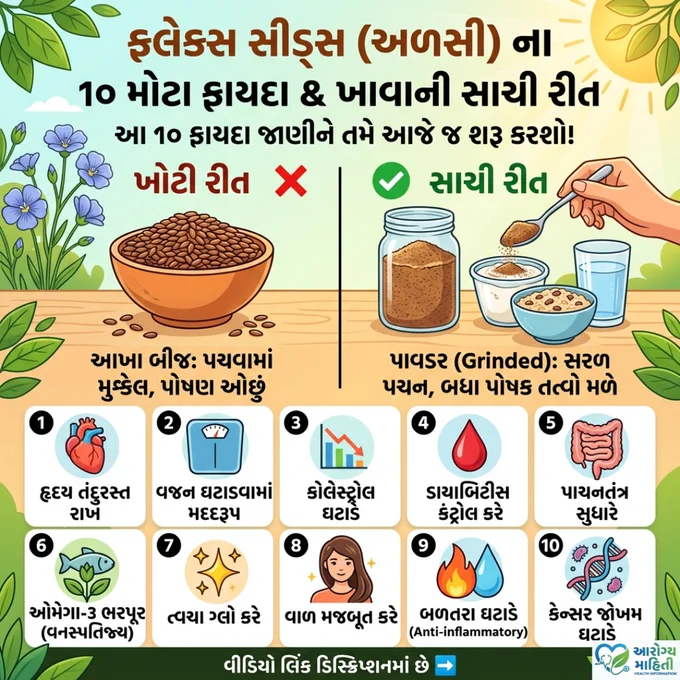 ફ્લેક્સ સીડ્સ (અળસી)