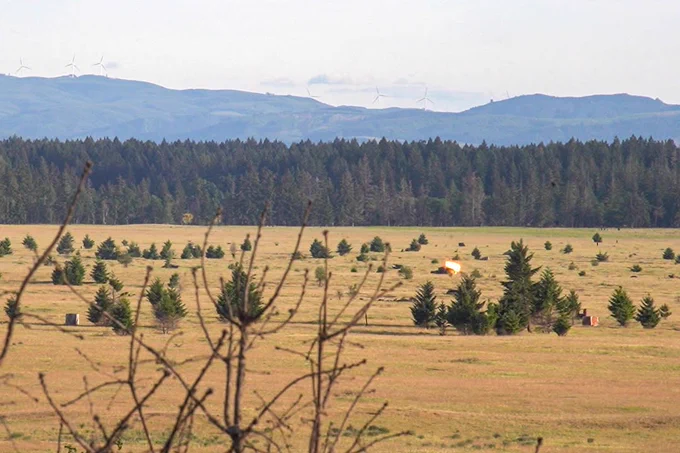 Soldiers with 1-23 IN, 7th Infantry Division, tested the Neros Archer FPV drone during a live-fire strike exercise at Joint Base Lewis-McChord.