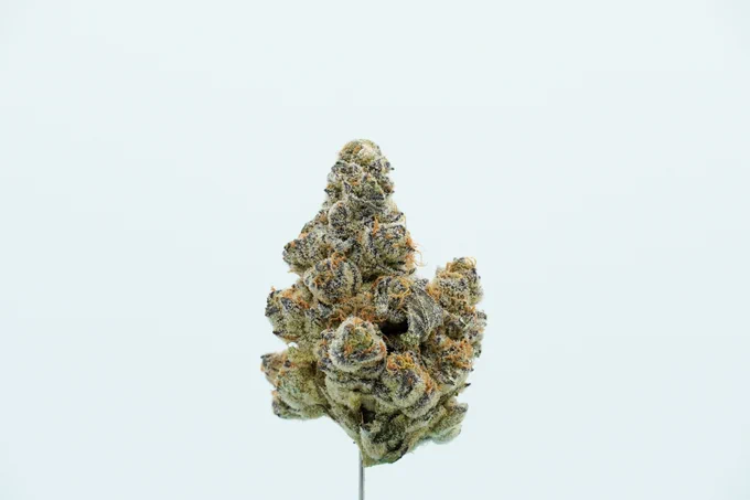 Frost'd Flakes