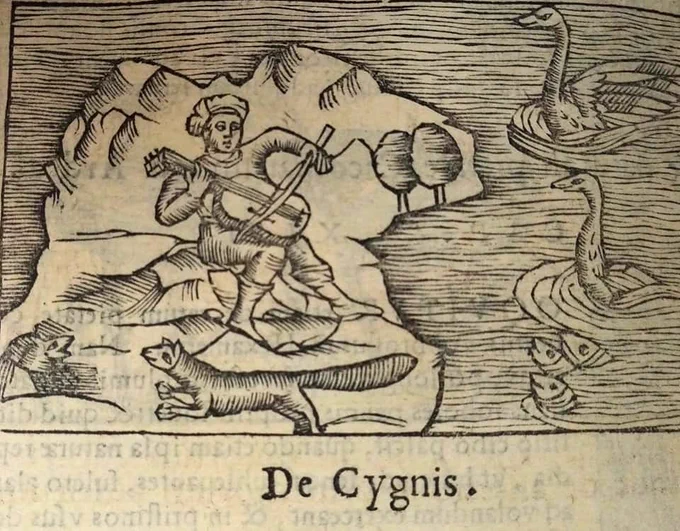 Woodcut showing a man playing a cello on an Island, watched by swans & fish. From A history of the Northern People by Olaus Magnus, 1555