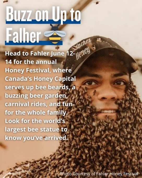 A person's face is covered in bees with a honey-themed hat at the Fahler Honey Festival.