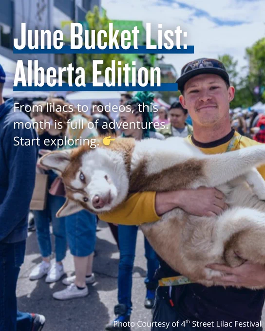 Person holding a large husky dog at an outdoor festival with a crowd and blue sky in the background.