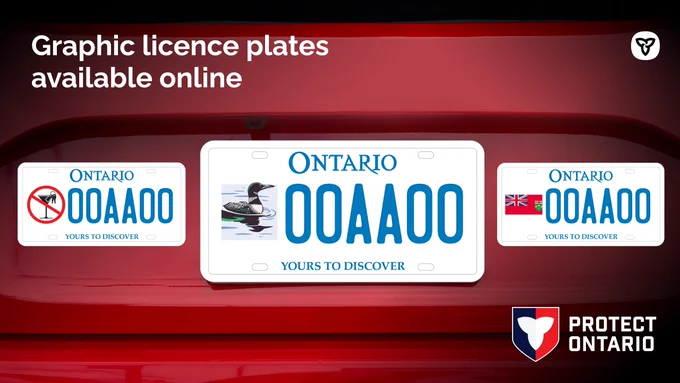 Graphic licence plates on the back of a car. 
Text: Graphic licence plates available online