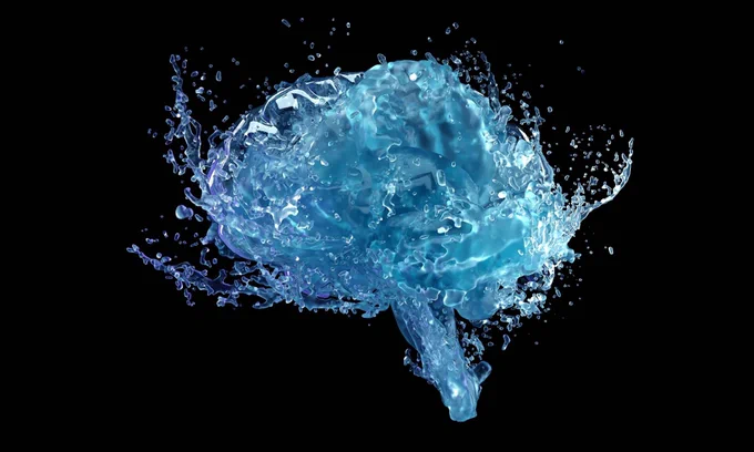 Glymphatic fluid races along the brain’s surface but slows to a trickle—about 50× slower—deep inside.