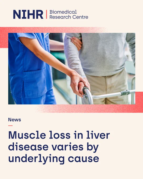 Nurse helping a middle aged man walk using a walker in a clinical setting. Text on image: News: Muscle loss in liver disease varies by underlying cause