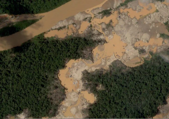 Reciente expansión de la minería ilegal de oro en la Reserva Nacional Tambopata. Datos: ACCA, Planet.


Después de un periodo de desaceleración de la actividad minera debido al Operativo Mercurio y al Plan de Restauración, la minería ilegal de oro ha reiniciado una alarmante expansión en la Reserva Nacional Tambopata, principalmente durante el segundo semestre del 2025 e inicios del 2026 (Gráfico 1). 

Durante este reciente periodo (2025-26), se ha registrado una extensión total de 500 hectáreas deforestadas por la minería ilegal en la parte norte de la Reserva, en zonas aledañas a lo largo del río Malinowski, el cual forma parte de su límite. 

Analizando imágenes satelitales de muy alta resolución espacial (Skysat de Planet, 0.5m), se ha detectado un total de 183 infraestructuras mineras y 67 campamentos en cinco zonas mineras (sectores Isla Córdoba, A4, A3, Isla Correntada y Apaylom) en la Reserva Nacional Tambopata para el mes de febrero del 2026. 