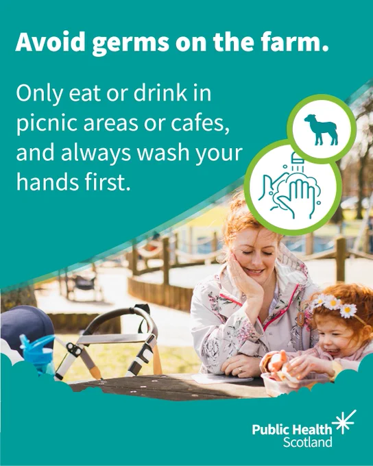 An adult and child sit at an outdoor picnic table on a farm, with food items on the table and a pushchair nearby. The text on the image advises eating only in designated picnic areas or cafés and washing hands before eating. Public Health Scotland branding appears in the corner.

