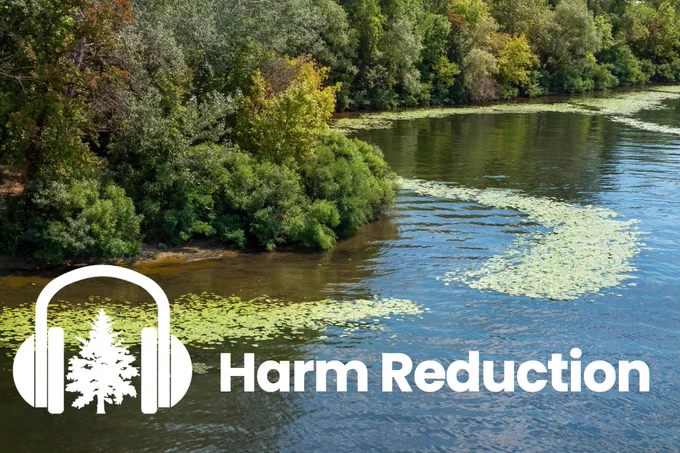 A body of water surrounded by green vegetation. There are the words "Harm Reduction" in white at the bottom along with a white graphic of a tree with headphones. 