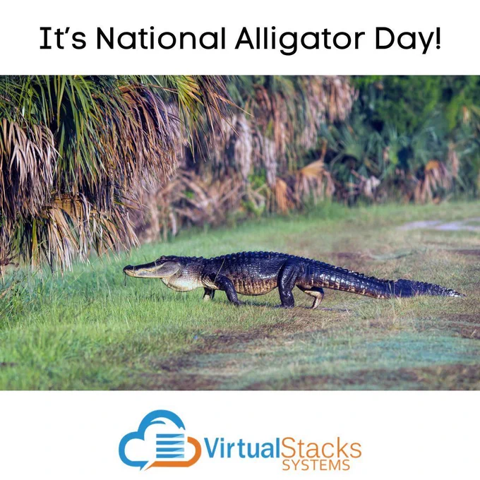 Photo illustration of alligator crossing marshy area in Florida; Virtual Stacks Systems logo.