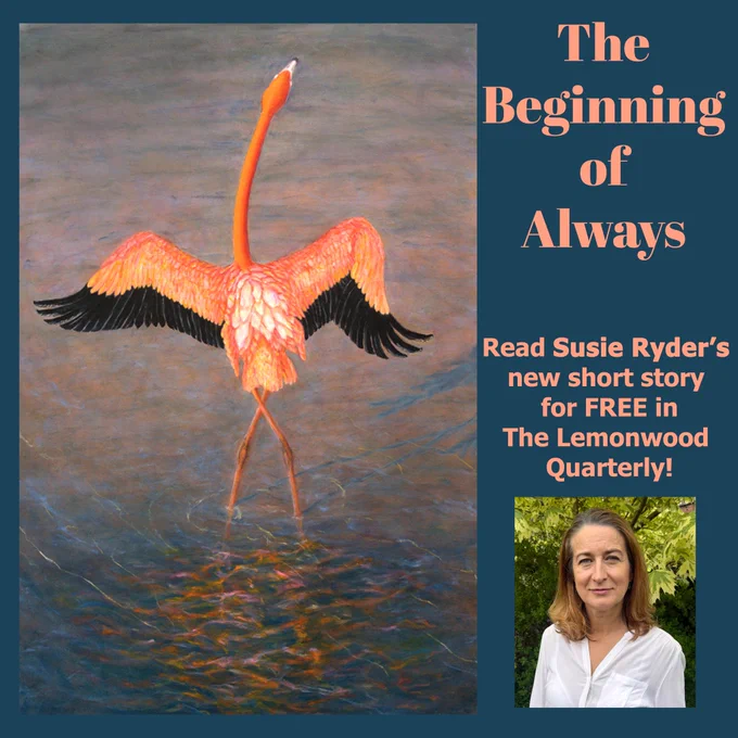 Title page image for the fiction short story The Beginning of Always by Susie Ryder is the painting When No One is Looking by Gloria E. Moses. An artistic illustration of a flamingo standing in water with wings outstretched, accompanied by promotional text for Susie Ryder's short story in The Lemonwood Quarterly.