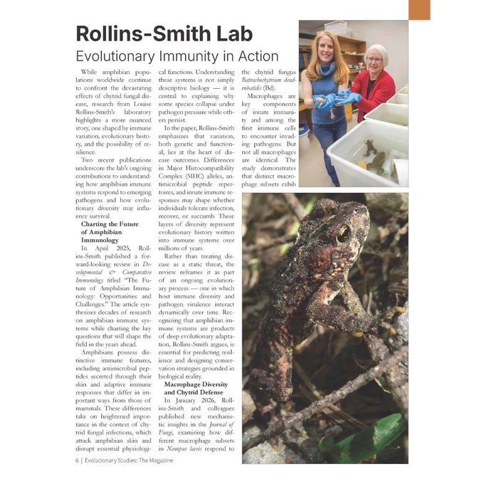 A magazine page titled "Rollins-Smith Lab: Evolutionary Immunity in Action." The upper right shows a photo of two women in a laboratory setting, one younger woman in a blue top an
