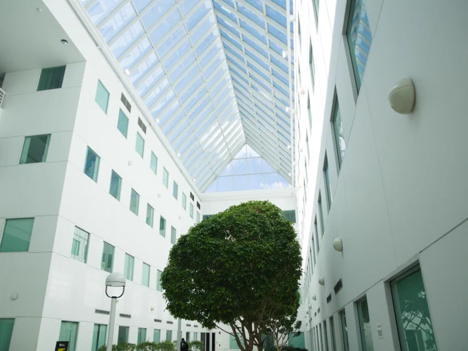 White building interior with green trees and a skylight window showing a blue sky. 