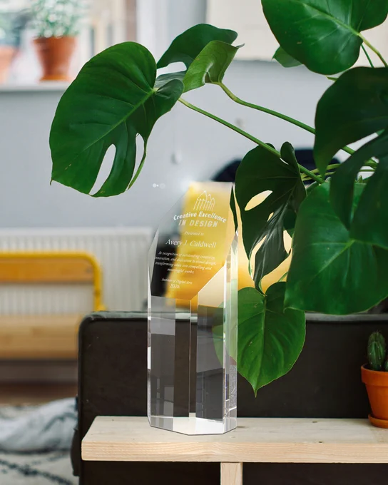 Faceted Octagon Glass Trophy Engraved With Award Message For Excellence In Design Standing On Living Room Shelf Beside Plants