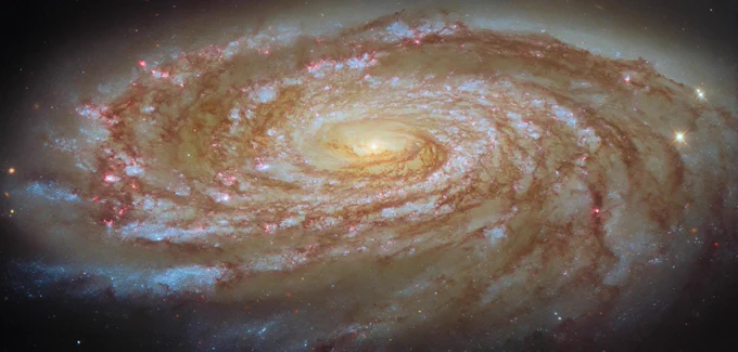 A large spiral galaxy. It is seen tilted at an angle, so that it is foreshortened and appears very wide. Its tightly-wound, blue spiral arms swirl out from its glowing center, spreading apart at the tips. They are followed by strands and clumps of dark red dust and spotted with pink dots where stars are forming in clouds of gas. The galaxy is surrounded by a slight glow and lies on a dark background.