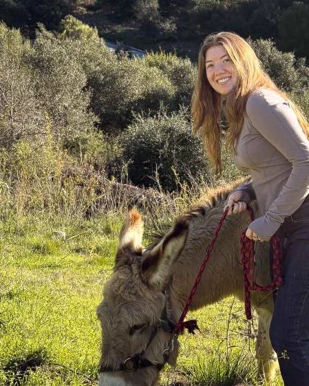 Person in a sunny field with a donkey, which is grazing and has a soft-looking coat and big eyes. 