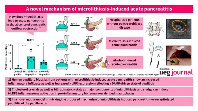 Visual abstract