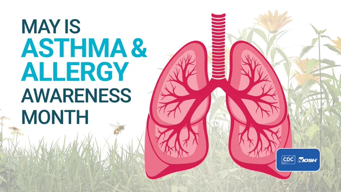 Illustration of lungs with flowers, grass, and a bee and it says "May is Asthma and Allergy Awareness Month" with the CDC/NIOSH logo