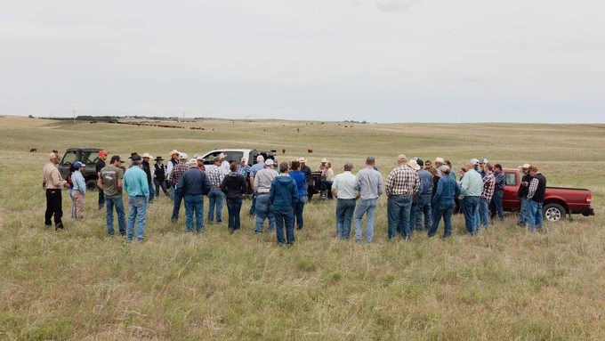Producers gathering in a pasture during the Stocker/Yearling Tour.