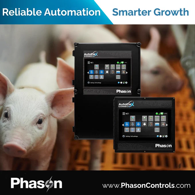 AutoFlex Connect III controllers displayed over pigs in a swine barn with headline Reliable Automation Smarter Growth and Phason Controls branding.